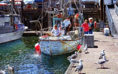 EAFA 50th Anniversary Open Online Juried Show