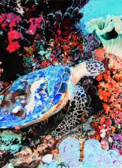 Kiraya Kestin, "Sea Turtle in Paradise" Kiraya Kestin, "Sea Turtle in Paradise" Oil, 22X28, $5979