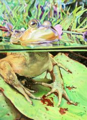 Kiraya Kestin, "Electric Frog" Kiraya Kestin, "Electric Frog" Oil, 20X24, $2098