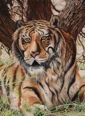 Kiraya Kestin, "Tiger Tiger Burning Bright" Kiraya Kestin, "Tiger Tiger Burning Bright" Oil, 30X24, $3901