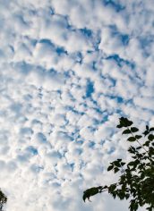 Phyllis McDaniel, "Juanita Bay Cloudscape" Phyllis McDaniel, "Juanita Bay Cloudscape" Photo on canvas, 16X24, $315
