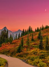 Ketsiri De Bord, "Path to Peace" Ketsiri De Bord, "Path to Peace" Chromaluxe metal photo print, 36x24, $830