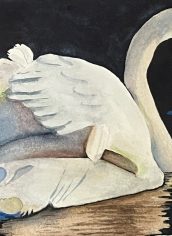 Pat Pauley, "Floating Swan" Pat Pauley, "Floating Swan" Watercolor, 12.5x15.5, $200