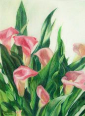 Marne Jensen, "Calla Lilies" Marne Jensen, "Calla Lilies" Colored pencil, 21X17, $495