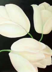 Marne Jensen, "Tres Fleurs" Marne Jensen, "Tres Fleurs" Acrylic, 36X36, $1,995