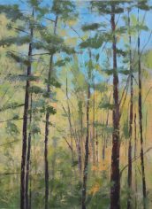 Gayle Erxleben, "Afternoon Glow " Gayle Erxleben, "Afternoon Glow " Acrylic, 24x18, $400