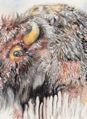 Kiraya Kestin
"Buffalo" Kiraya Kestin Buffalo W/C 9X12 $278