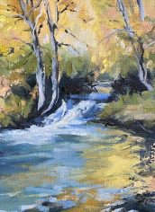 Vicki Perry
"Black Hills Rock" Vicky Perry "Black Hills Brook" Oil on Linen Board 9X11 $500