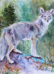 Terri Gordon
"Coyote's Vigil" Terri Gordon Coyotes Vigil Watercolor 14X22 $800