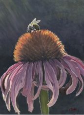 Ellen Grove
"Mana" Ellen Grove Mana Oil 9X12 NFS