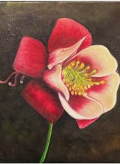 Monir Malekpour
"Beautiful Columbine Flower" Monir Malekpour Beautiful Columbine Flower Oil 12X12 $150