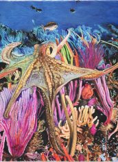 Kiraya Kestin
" Octopus Slipping By" Kiraya Kestin Octopus Slipping By Oil 24X30 $3063