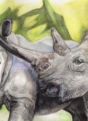 Kiraya Kestin
"Two Rhinos" Kiraya Kestin Two Rhinos Watercolor 9X12 $434
