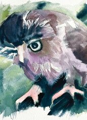 Jane Scott
"Black Owlet" Jane Scott Black Owlet Watercolor 8X8 $150