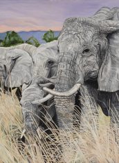 Kiraya Kestin
"Elephants Lives Matter" Kiraya Kestin Elephants Lives Matter Oil 20X24 $2877