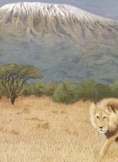 Gene K.Mickelson
"On The Prowl" Gene Mickelson On the Prowl Acrylic 28X36 $525