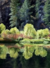 Georgianne Arnot
"Golden Reflection"