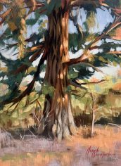 Angela Bandurka
"Ebey Tree"