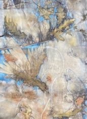 Caroline Callender
"Phish, Phowl and Phoenix"