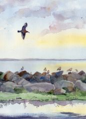 Ellen Grove
"Ediz Hook"