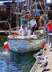 First Prize
Harold Johnson
"Buying Salmon"
