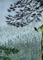 Hon. Mention
Eva Moon
"Winter Bird"