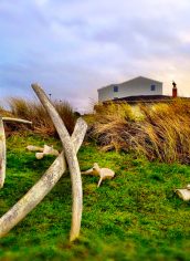 G.G.Silverman
"The Knowing of Our Bones"