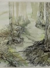 Hon. Mention
Amanda Spartz
"A Path Well Worn, Orcas Island"