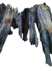 Suze Woolf
"Bolt Creek Stump"