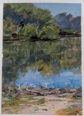 Steve Momii,
"UW Horticultural Center"