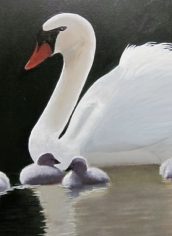 Gene Mickelson,
"Perfect Lil' Cignets"