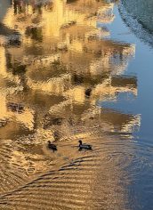 Qin Cai,
"Labyrinth"